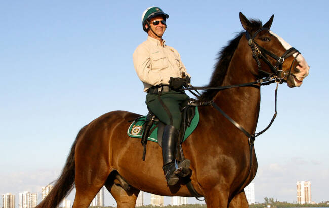 Sheriff on deputy horse