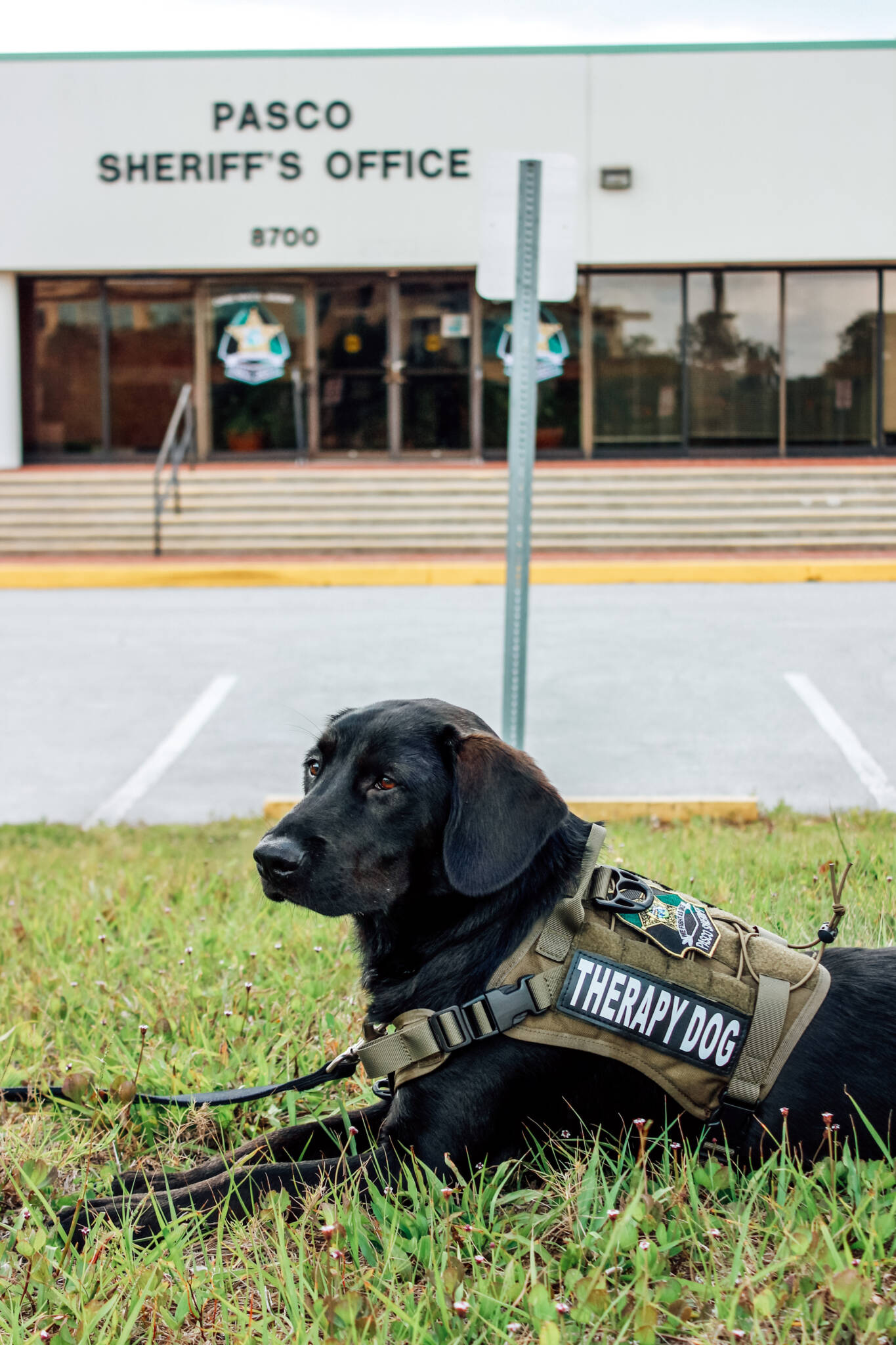 Florida Sheriffs Youth Ranches - Florida Sheriffs Association