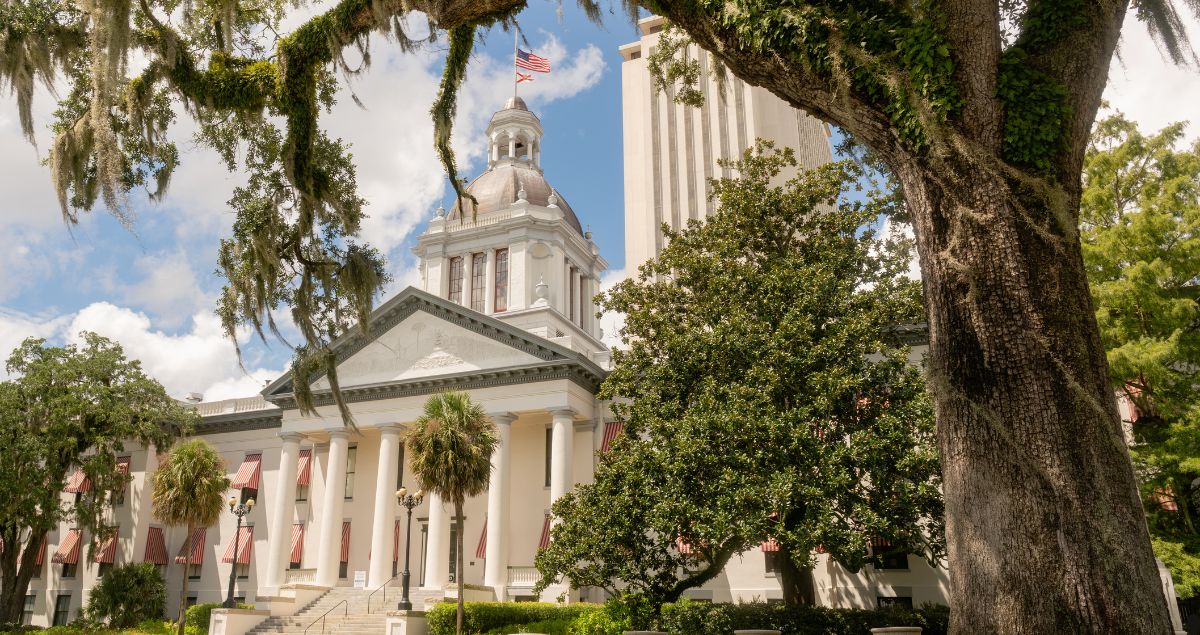 New Florida Laws that Go into Effect October 1, 2024