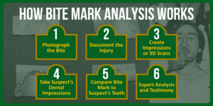 How Ted Bundy’s Crimes Impacted Law Enforcement | FSA