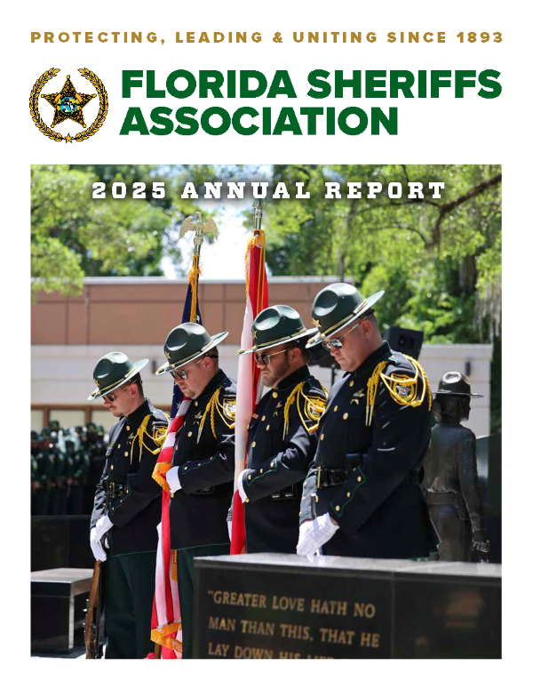 Image of the front of FSA's Annual report for 2025