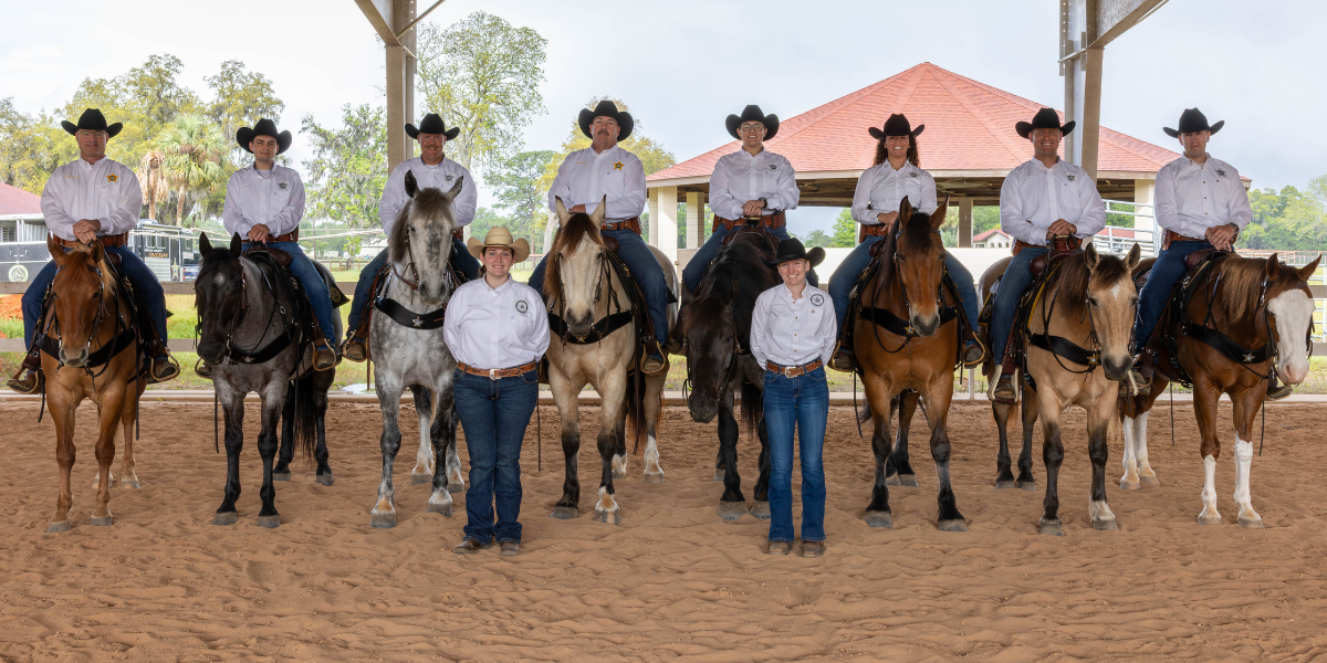 Mounted Patrol Units in Law Enforcement | Florida Sheriffs Association