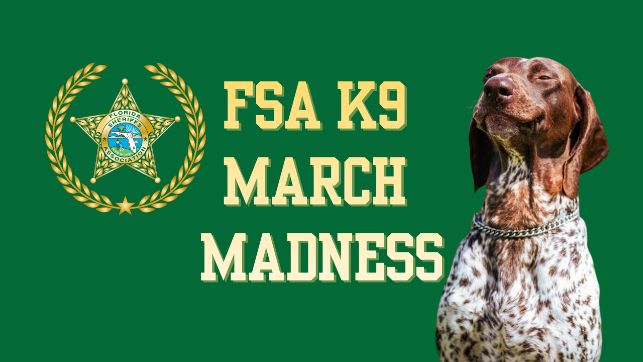 K9 March Madness 2026