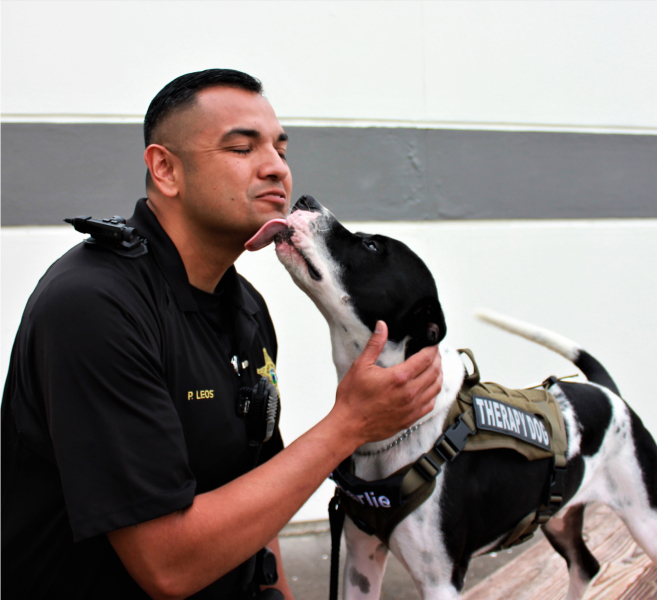 Dog licking officer